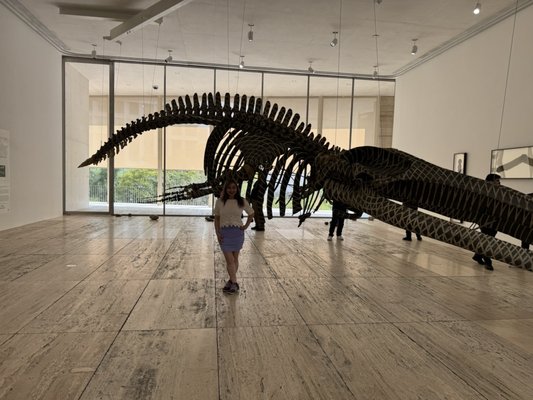 Museo Jumex by null