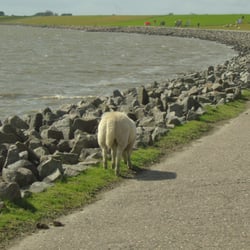 Badestelle Warwerort