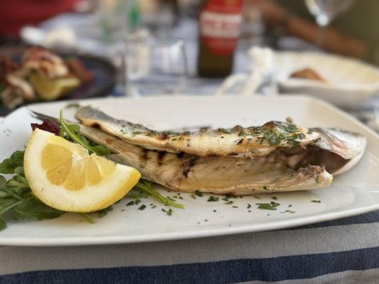 Porta Marina Seafood by null