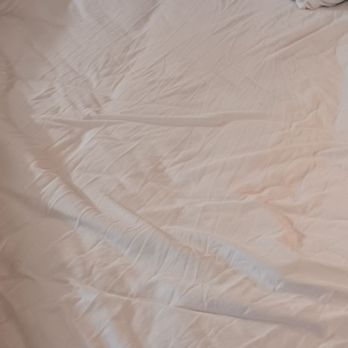 Rodeway Inn - Sheets no change. It appears that someone had just slept in them. Pubic hairs in the bed and dead skin. - Hotels Near Me - Kanab, Utah Rodeway Inn - Sheets no change. It appears that someone had just slept in them. Pubic hairs in the bed and dead skin. - Hotels Near Me - Kanab, Utah