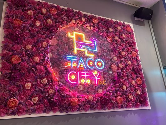 Taco City DC by null