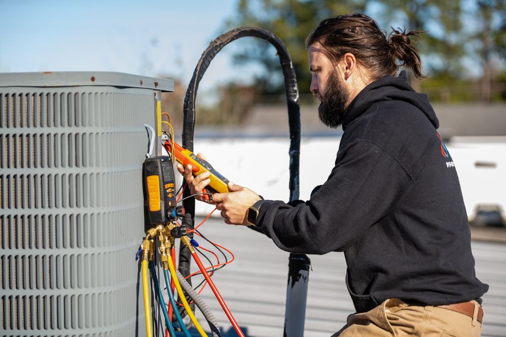 AIR HEAVEN Updated September 2024 17 Photos 2424 N William St, Goldsboro, North Carolina