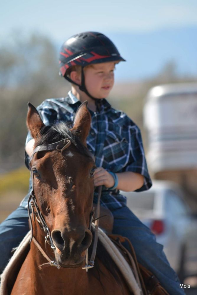 Bits of Freedom - social services organization in Beulah Valley, CO