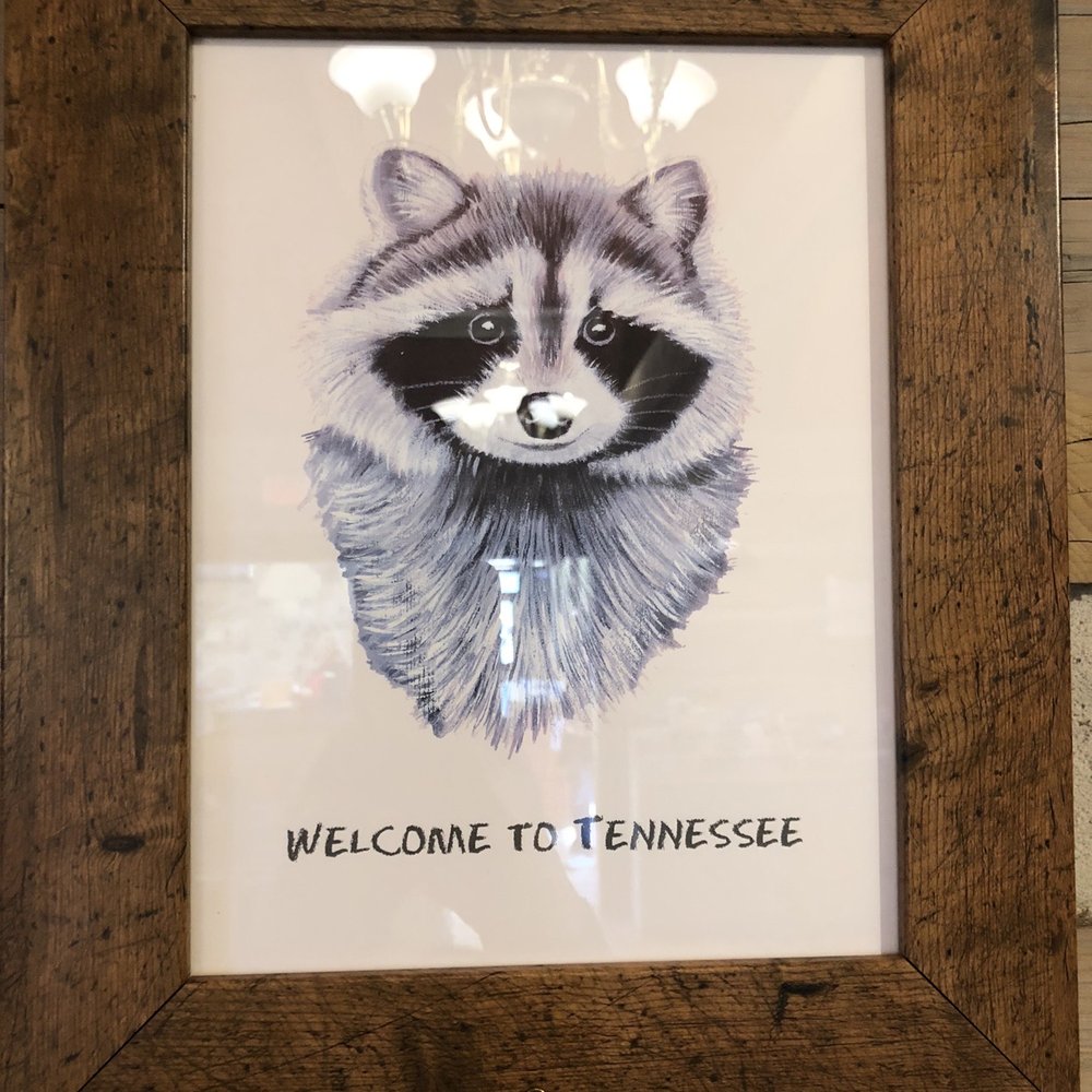 Tennessee Welcome Center - Tennessee's State Animal ~ The Raccoon - Vacation Rentals Near Me - Chattanooga, Tennessee Tennessee Welcome Center - Tennessee's State Animal ~ The Raccoon - Vacation Rentals Near Me - Chattanooga, Tennessee