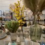 Lemonade Lifestyle Boutique