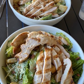 Mosquito Cafe - Mosquito Caesar - Breakfast & Brunch Near Me - Galveston, Texas Mosquito Cafe - Mosquito Caesar - Breakfast & Brunch Near Me - Galveston, Texas