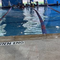 Pengu Swim School - Houston Central - My 7 year old loves Pengu Swim School!! Great and friendly staff!