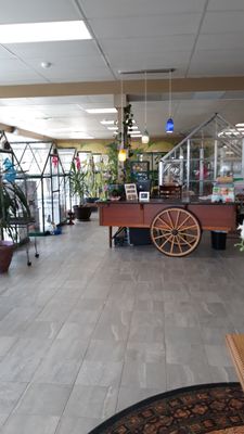 The Cat's Meow by null