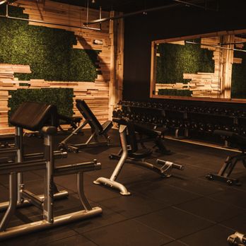 Control Results - Trainers Near Me - Melbourne, Florida Control Results - Trainers Near Me - Melbourne, Florida