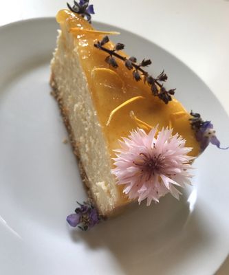 Muse Cheesecakes by null