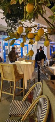Barbayani Greek Taverna by null