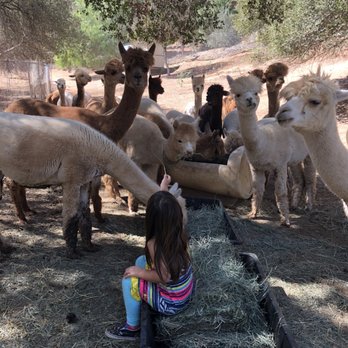 Creek Point Farms - Attraction Farms Near Me - Valley Center, California