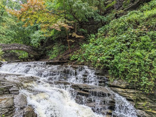 Cascadilla Gorge Trail by null