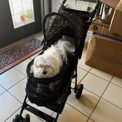 Doggie Doo's Dog Grooming Gift Card