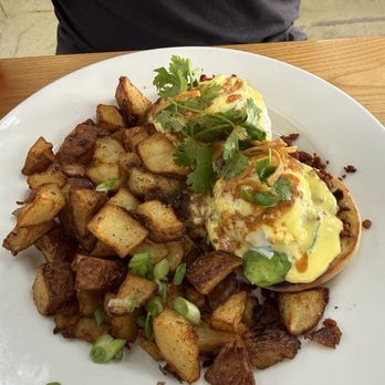 Denica's Real Food Kitchen - 100 Chile Benny with a generous amount of fries - Bakeries Near Me - Dublin, California Denica's Real Food Kitchen - 100 Chile Benny with a generous amount of fries - Bakeries Near Me - Dublin, California