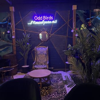 Odd Birds Kitchen and Cocktail Lounge - Cocktail Bars Near Me - Saint Augustine, Florida Odd Birds Kitchen and Cocktail Lounge - Cocktail Bars Near Me - Saint Augustine, Florida