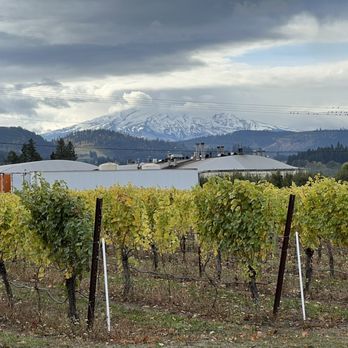 Mt Hood Winery - Wineries Near Me - Hood River, Oregon Mt Hood Winery - Wineries Near Me - Hood River, Oregon