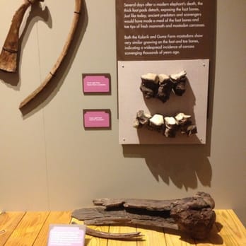 Indiana State Museum - Museums Near Me - Indianapolis, Indiana Indiana State Museum - Museums Near Me - Indianapolis, Indiana