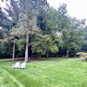Yellow Gold Farm - 10/4/25 - Party & Event Planning Near Me - Albany, Oregon Yellow Gold Farm - 10/4/25 - Party & Event Planning Near Me - Albany, Oregon