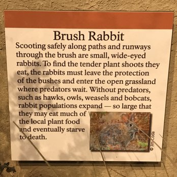 Bear Valley Visitor Center - Visitor Centers Near Me - Point Reyes Station, California