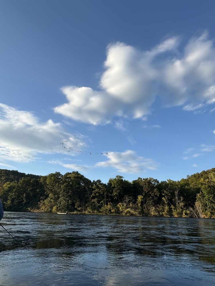 Stetson's On the White Logo