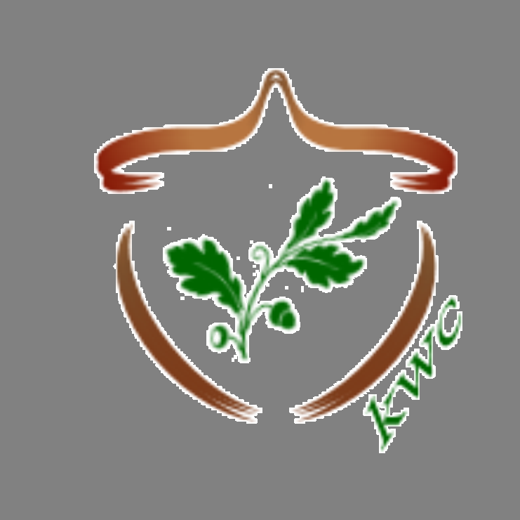 Kor Wellness Consulting - grief counselor in Annapolis, MD