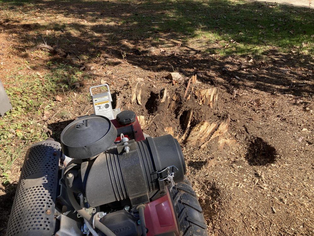 A1 Tree Services - tree service in Cross Lanes, WV