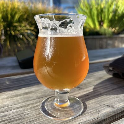 Sante Adairius Rustic Ales by null