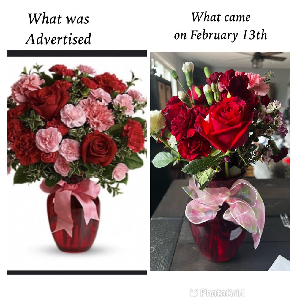 SHELLY FLOWER SHOP Updated August 2024 37 Photos & 47 Reviews