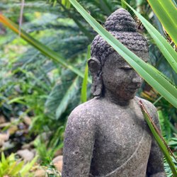 Bamboo Buddha