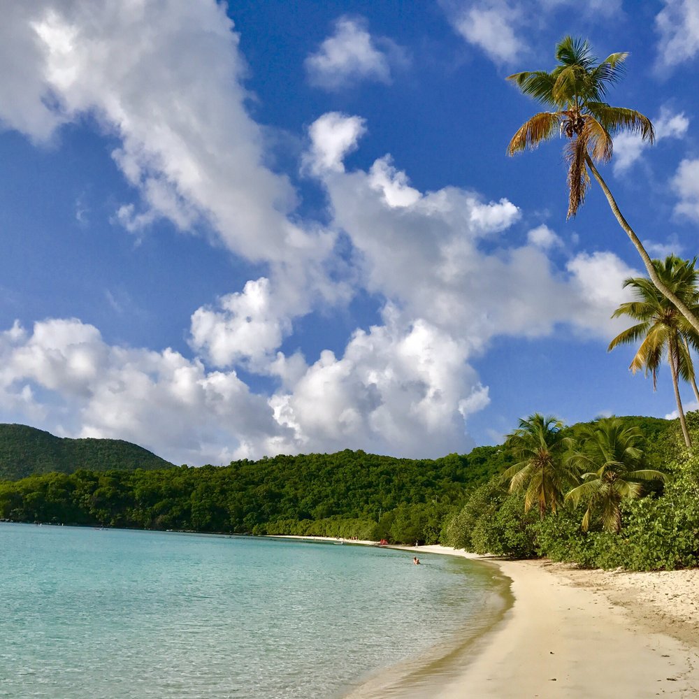 Maho Bay - Tempting blue waters - Beaches Near Me - St John, Virgin Islands