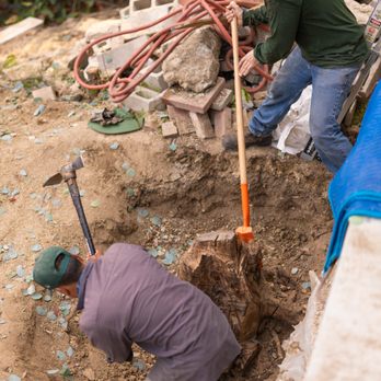 JD Tree Service - They're both at it now.. this is one mean stump! - Tree Services Near Me - Alhambra, California JD Tree Service - They're both at it now.. this is one mean stump! - Tree Services Near Me - Alhambra, California