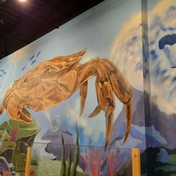 A Plus Crab