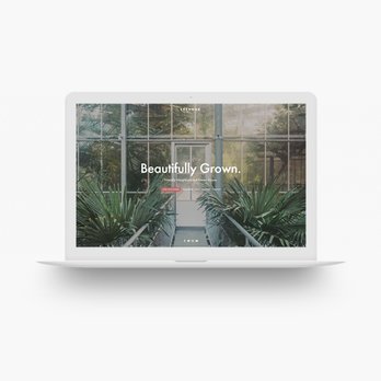 Moov Labs - Web Design Near Me