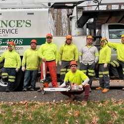 Spence's Tree Service