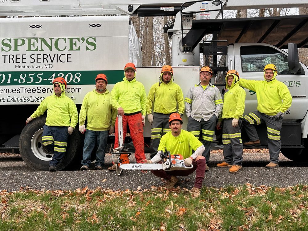 Spence's Tree Service - tree service in Huntingtown, MD