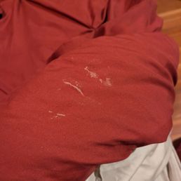 Dried white material on our "clean" bedding at check in. Dried white material on our "clean" bedding at check in.