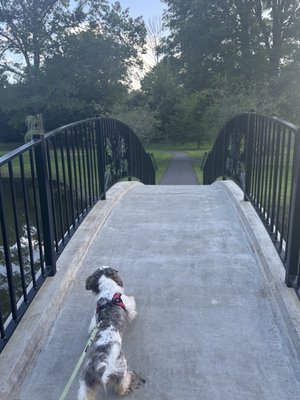 Larz Anderson Park by null