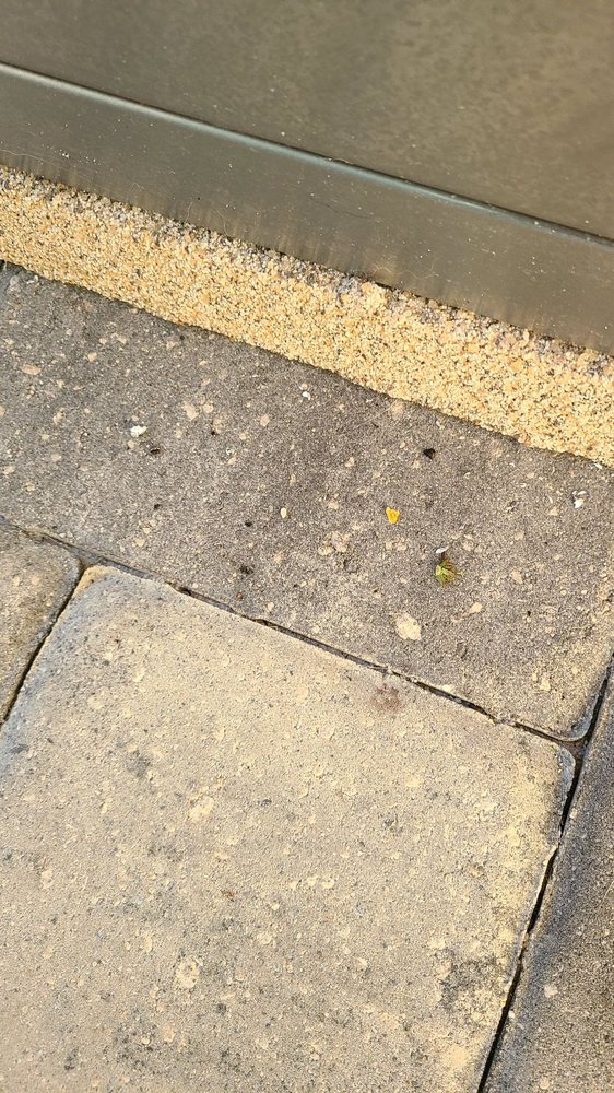 SCREEN PROS AND MORE Updated March 2024 21 Photos & 12 Reviews