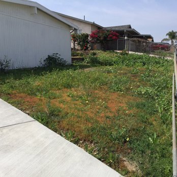 Razo's Landscaping & Maintenance - Side Yard - Before - Landscaping Near Me
