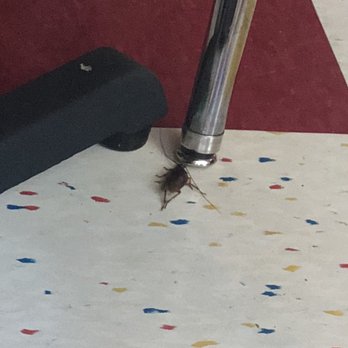 Chuy's - ROACH - Mexican Near Me - Houston, Texas