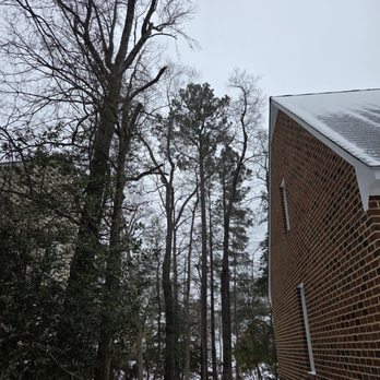 Lemus Tree Services - After photo showing the trimmed back trees, away from the roof. - Tree Services Near Me - Henrico, Virginia Lemus Tree Services - After photo showing the trimmed back trees, away from the roof. - Tree Services Near Me - Henrico, Virginia