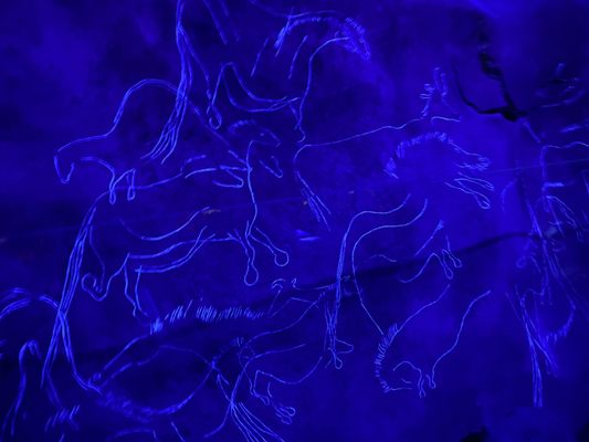 Lascaux by null