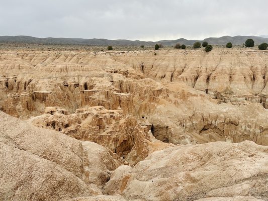 Cathedral Gorge State Park by null