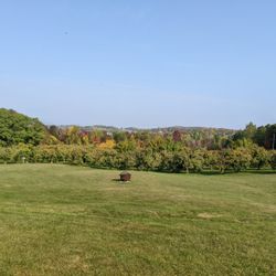 Woodman Hill Orchard - View from top of the orchard