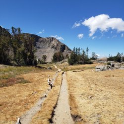 Mokelumne Wilderness