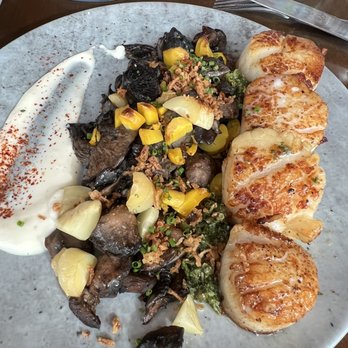 The Grill - Scallops - American Near Me - Washington, DC, District of Columbia The Grill - Scallops - American Near Me - Washington, DC, District of Columbia