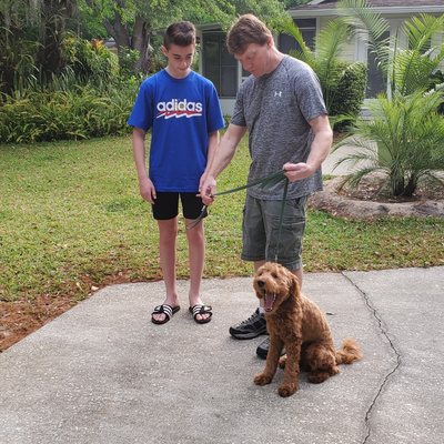 Private Training Lessons - Adam Campbell offers Private Training Lessons to help you address your dog's training issues. He has 30 years of successful dog training experience. Adam knows how to help an owner train their dog by communicating in a clear and professional manner. Private Training Lessons - Adam Campbell offers Private Training Lessons to help you address your dog's training issues. He has 30 years of successful dog training experience. Adam knows how to help an owner train their dog by communicating in a clear and professional manner.