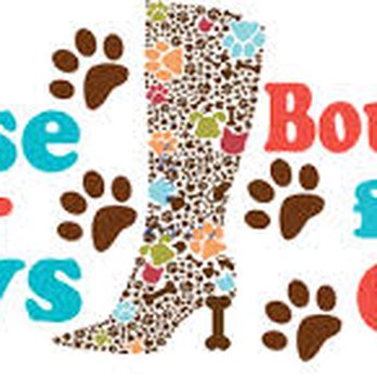 1. Cause For Paws Lincoln