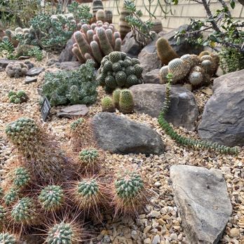Garfield Park Conservatory - Parks Near Me - Chicago, Illinois